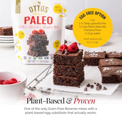 Grain Free Paleo Double Chocolate Brownie Mix (11.1 Ounce)