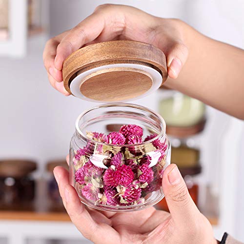 8 Pcs Spice Containers