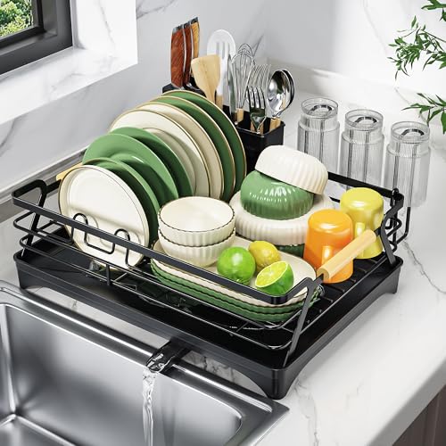 Dish Drying Rack for Kitchen Counter