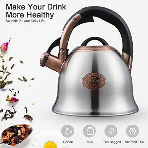 Tea Kettle 2.2 Quart Tea Kettles Stovetop Whistling Teapot Stainless Steel Tea Pots for Stove Top Whistle Tea Pot (2 Count)