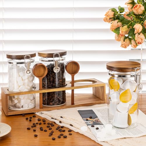 Coffee Canister with Shelf (3 Count)