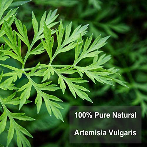 Mugwort Tea 2g x 30 Count