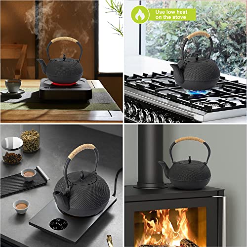 Japanese Tetsubin Tea Kettle Cast Iron Teapot with Stainless Steel Infuser 60 oz