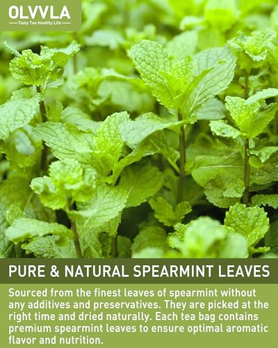 Spearmint Tea Bags (50 Count)