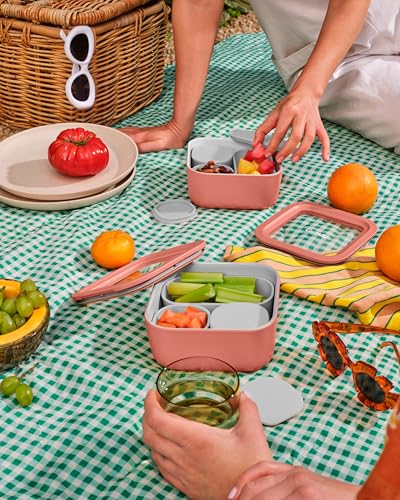 2 Piece Glass Food Storage Set with Lids (2 Count)