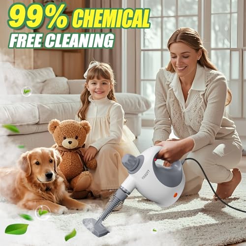 Multi Surface Handheld Pressurized Steam Cleaner with 13 PCS Accessory (13 Count)