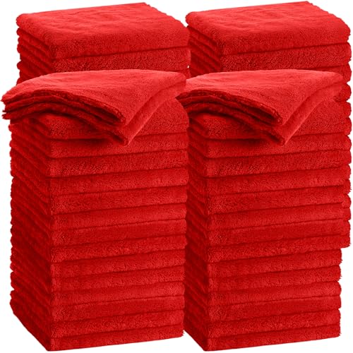 30 Pcs 16 x 16 Inch Edgeless Microfiber Plush Towels for Cars Detailing Drying Wash Polishing Absorbent Cleaning Cloths