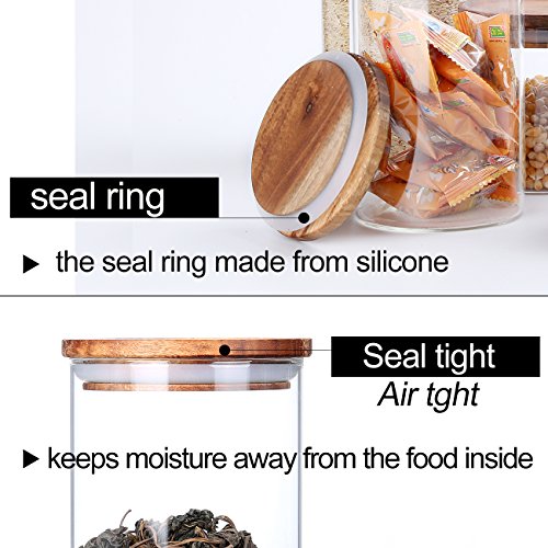 Glass Tea Canisters for Loose Leaf Tea (2 Count)