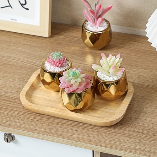 Bamboo Vanity Tray