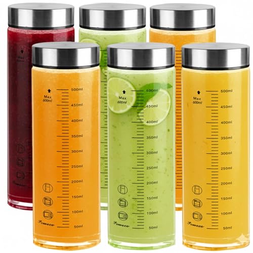 Glass Juice Bottles 6 Pack 20 oz (6 Count)