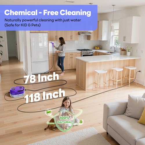 Handheld Steam Cleaner