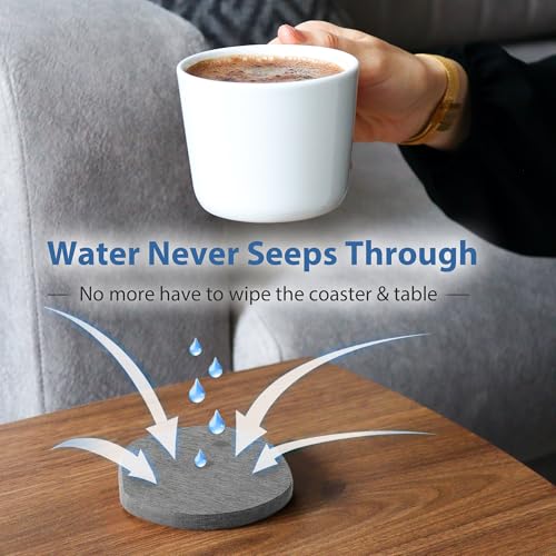 4 Pack Diatomite Absorbent Coasters for Drinks (4 Count)