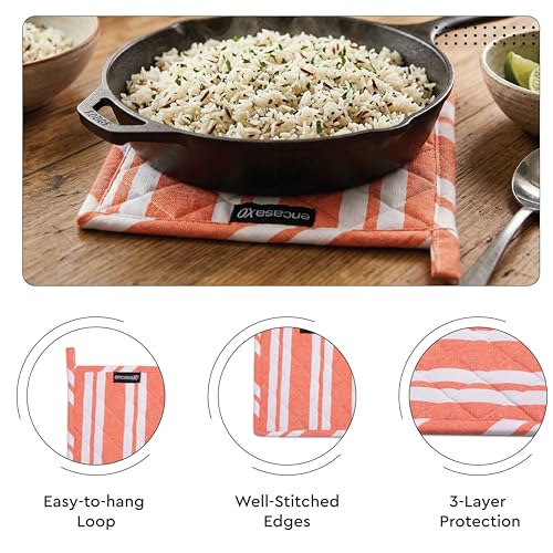 Oven Mitts and Pot Holders Set (2 Count)
