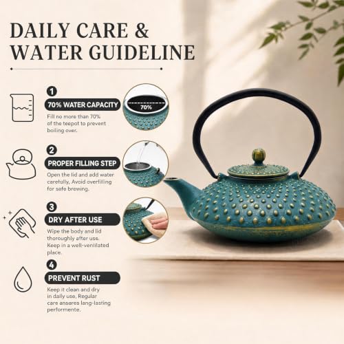 27.1oz Small Cast Iron Teapot with Infuser for Loose Tea