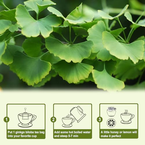 Ginkgo Biloba Tea Bags (50 Count)