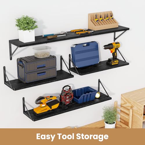 Floating Book Shelves for Wall (3 Count)