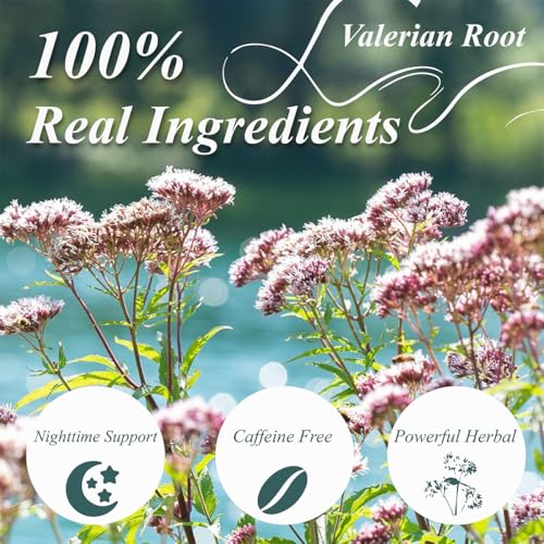 Valerian Root Tea Bags 50ct (50 Count)