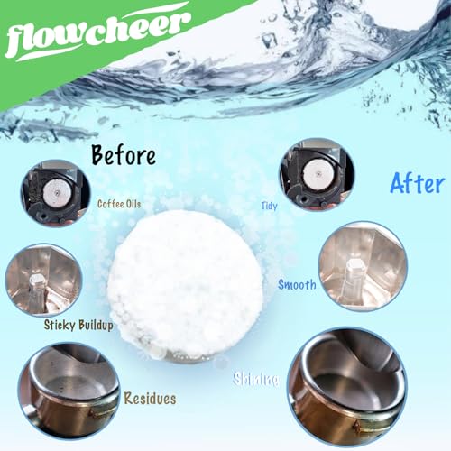 Coffee Maker Cleaner & Descaler Tablets 12 (12 Count)