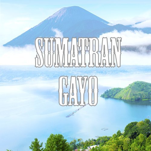 Sumatran Gayo Coffee (16 Ounce)