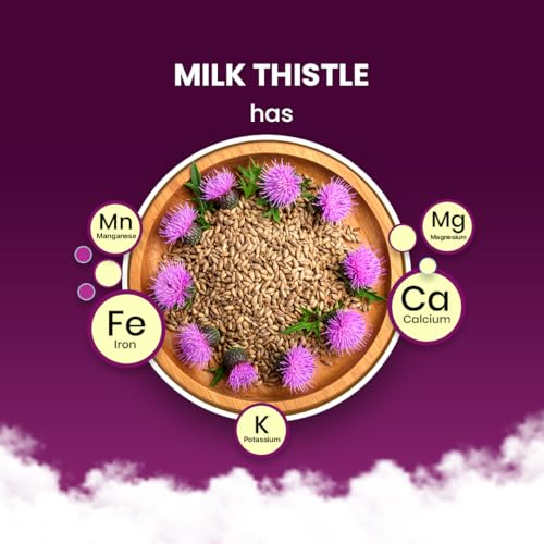 Milk Thistle Tea (100 Count)