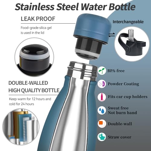 Insulated Water Bottle (2 Count)