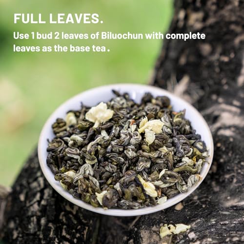 Jasmine Loose Leaf Green Tea (3.5 Ounce)
