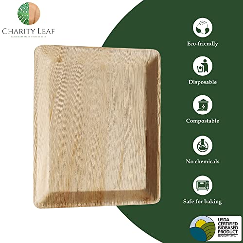 Disposable Bamboo 12" x 10" Trays (10 Count)