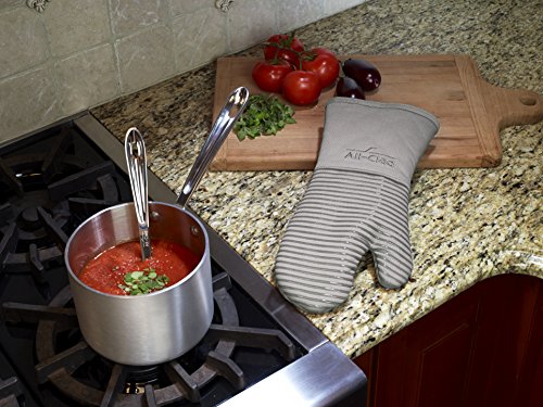Premium Silicone Oven Mitt