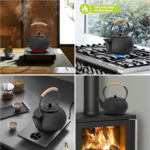 Japanese Tetsubin Cast Iron Teapot Tea Kettle pot with Stainless Steel Infuser for Stovetop Safe Coated with Enameled Interior 22 oz
