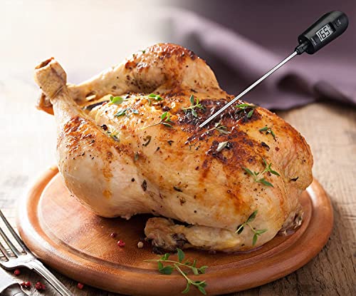 Digital Candy Thermometer