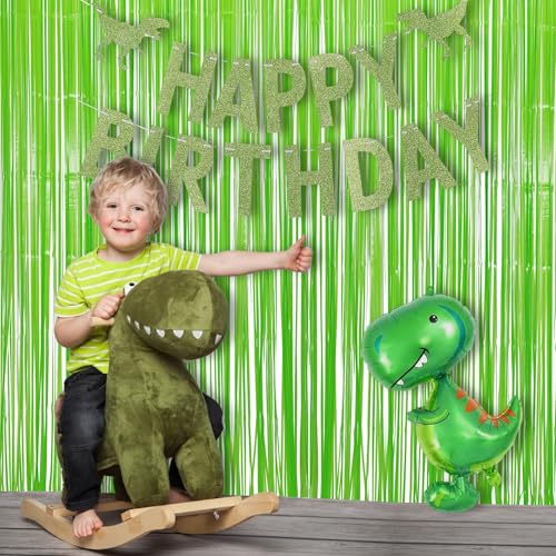 Pastel Green Streamers Party Backdrop Decorations 2 Pack (2 Count)