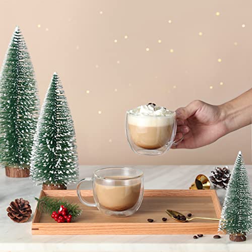 8oz Double Wall Glass Coffee Mugs (4 Count)