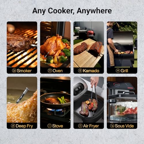 Sync One Gen 2 Smart Wireless Meat Thermometer with 6