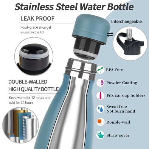 Insulated Water Bottle