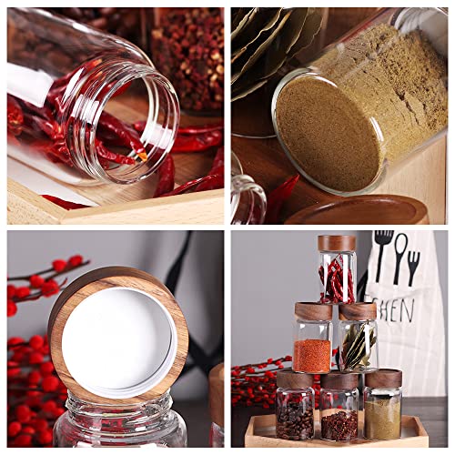 6 Pcs Small Glass Spice Jars with Label (6 Count)