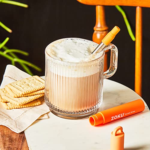 Reusable Metal Straw with Case