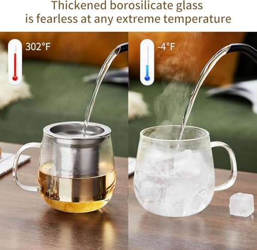 Glass Tea Cup with Infuser and Lid