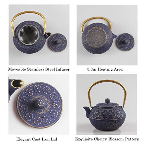 Teapot Cast Iron Tea Kettle for Stovetop Safe Coated with Enameled Interior
