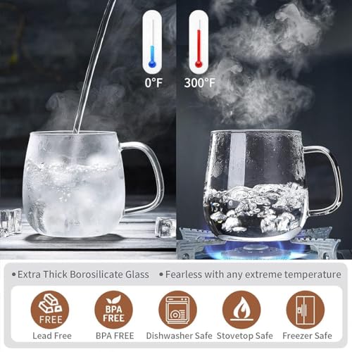 Glass Teacups 24 Pack Glass Tea Cup with Infuser and Lid (24 Count)
