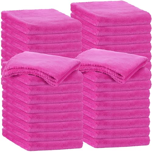 30 Pcs 16 x 16 Inch Edgeless Microfiber Plush Towels for Cars Detailing Drying Wash Polishing Absorbent Cleaning Cloths (30 Count)