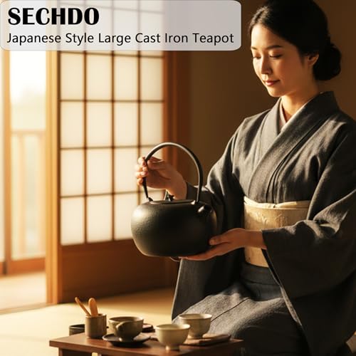 67.6oz Large Cast Iron Teapot and Cups Set