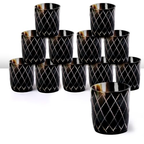 Viking Horn Shot Glasses Set of 12 (12 Count)