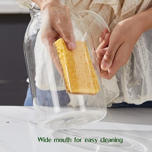 2.4L Heat Resistant Glass Pitcher with Lid