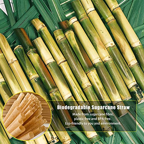 5 Inch 600pcs Cocktail Straws Made from Sugarcane Fiber Plastic (600 Count)