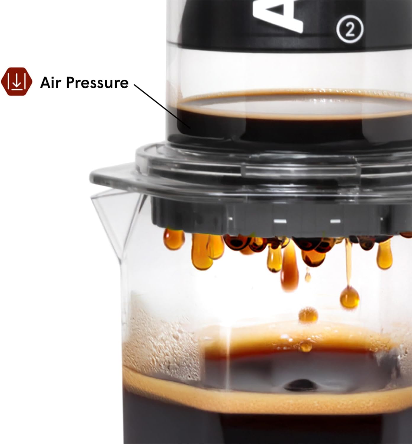 AeroPress Clear XL Coffee Press – 3 in 1 Brew Combines French Press, Pourover, Espresso, Full bodied smooth coffee without grit or bitterness, Portable Coffee Maker for Home, Office, Camping & Travel - Blissbrew