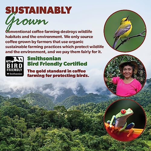 Organic Mold Free Coffee (80 Ounce)