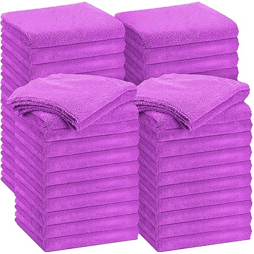 30 Pcs 16 x 16 Inch Edgeless Microfiber Plush Towels for Cars Detailing Drying Wash Polishing Absorbent Cleaning Cloths