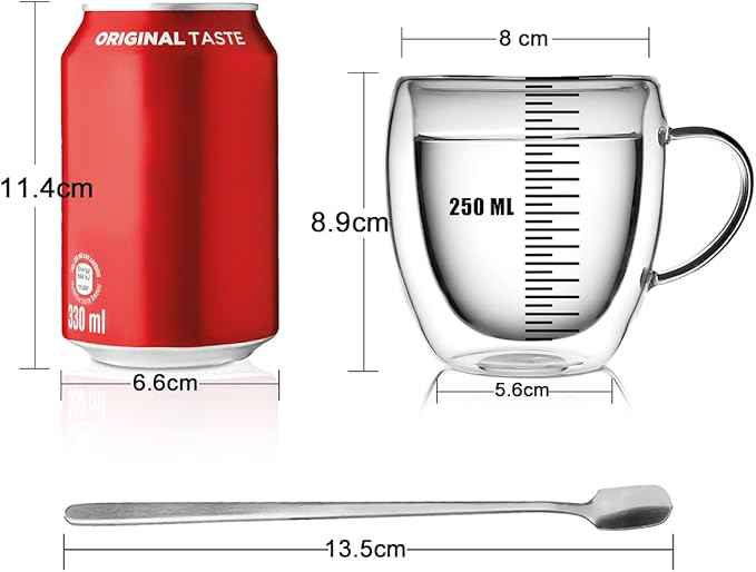 LIBWYS 12oz Double Walled Coffee Cups Glasses Mugs, Espresso Cappuccino Latte Tea Cups with Handle 350ml (2x250ml)