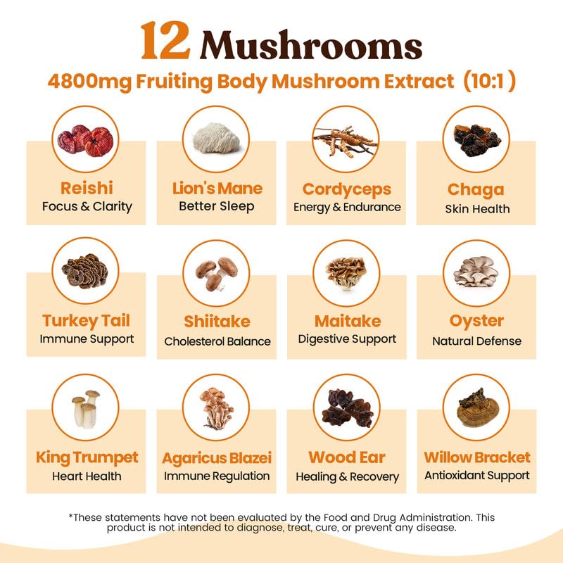 Mushroom Coffee (3.53 Ounce)