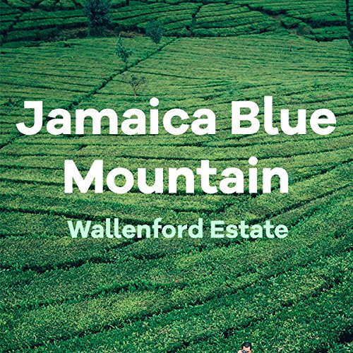 Jamaican Blue Mountain Coffee (16 Ounce)